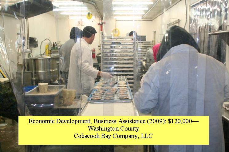 Cobscook Bay Company - seafood pie production